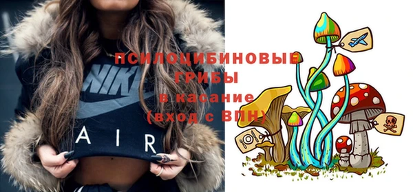 амф Алексин