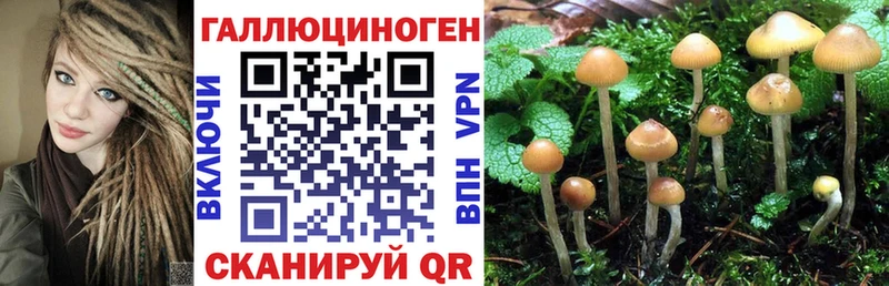 что такое наркотик  Новочеркасск  Псилоцибиновые грибы прущие грибы 